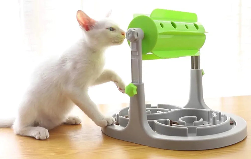 Speedy pet intelligeance toy