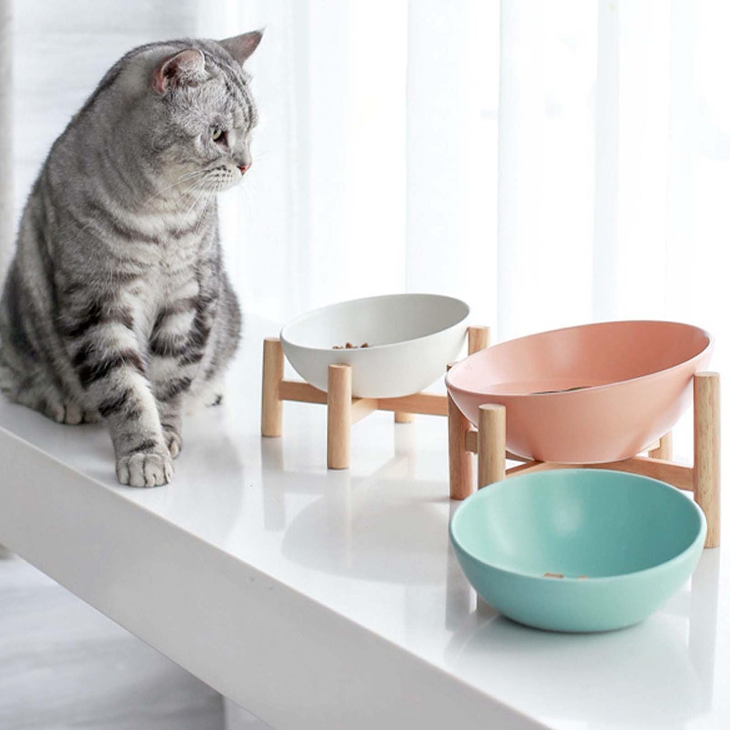 Tilted Food Bowl with wooden stand