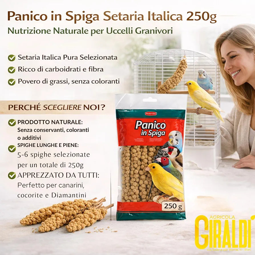Ears of Panic for Parrots – 250 g – Feed for Canaries