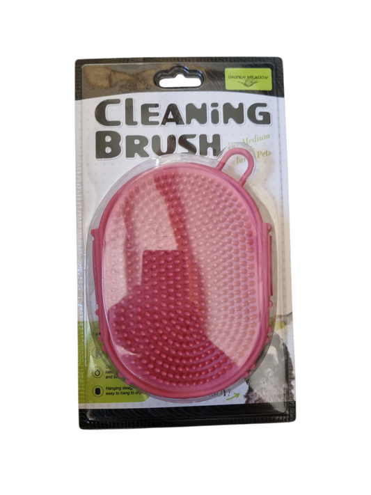 Cleaning brush
