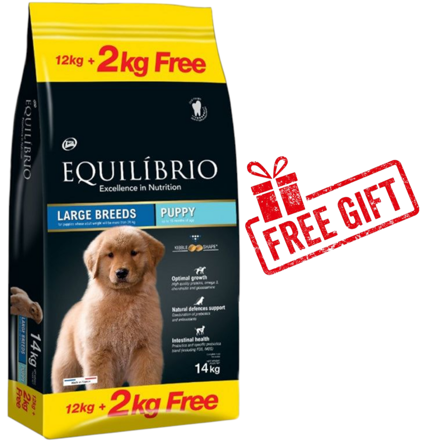Equilibrio - large Breed Puppy -12kg+2kg free