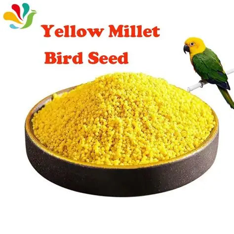 yellow millets 1kg