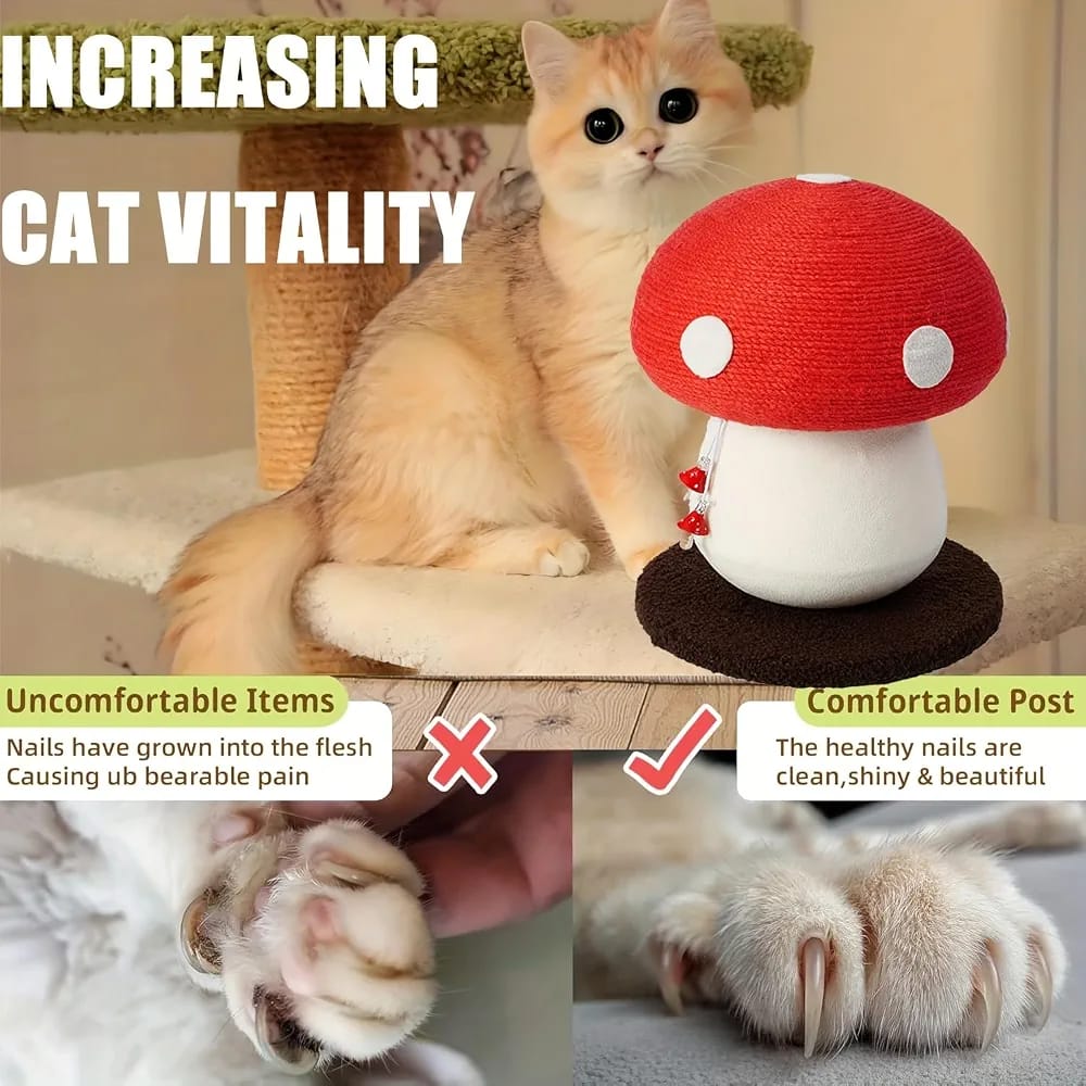 Cute Red Mushroom Design | 13.39" H x 11.02" W | Natural Sisal Rope & Soft Plush | Interactive Hanging Toy for Indoor Cats