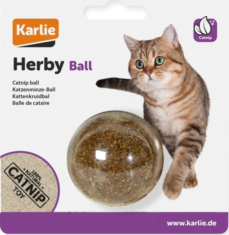 Catnip ball