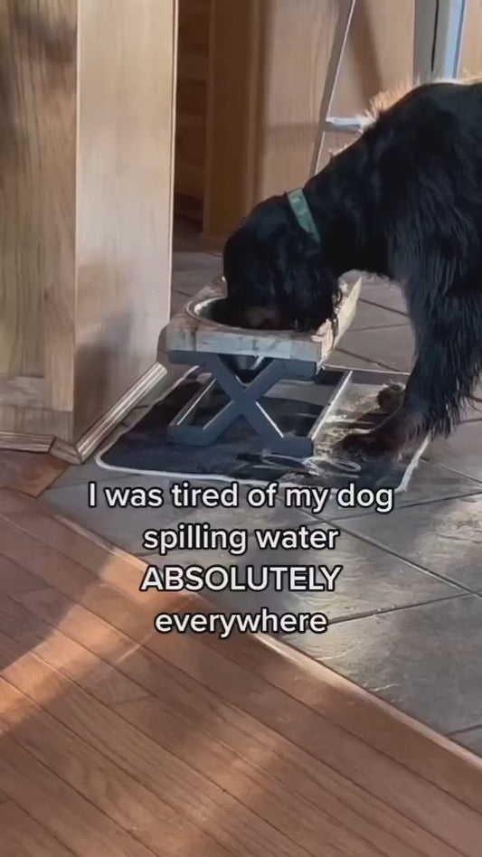 Distributeur d'eau potable lente anti-éclaboussures pour animaux de compagnie