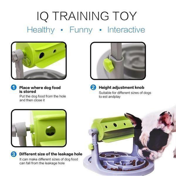 Speedy pet intelligeance toy