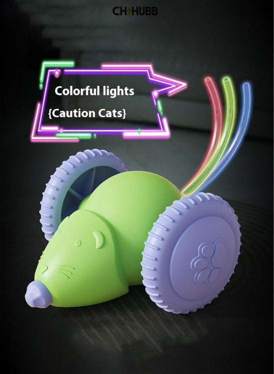 Electric cat mouse