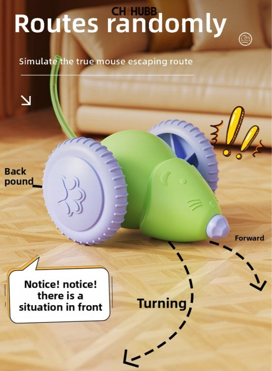Electric cat mouse