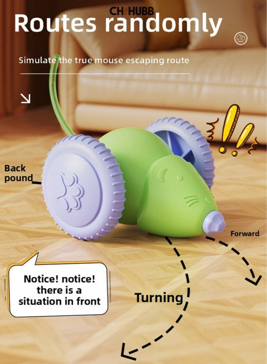 Electric cat mouse