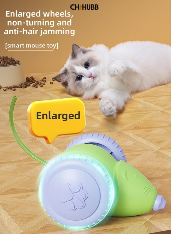 Electric cat mouse