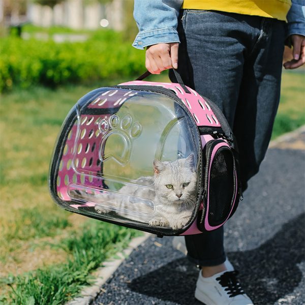Pet bag collapsible transparent