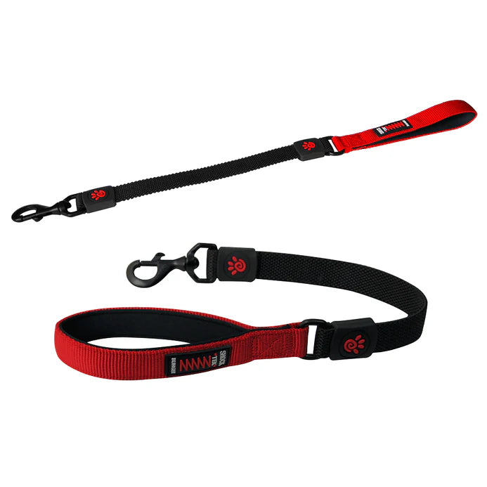 Shock Absorbing BUNGEE Nylon Dog Leash Xl