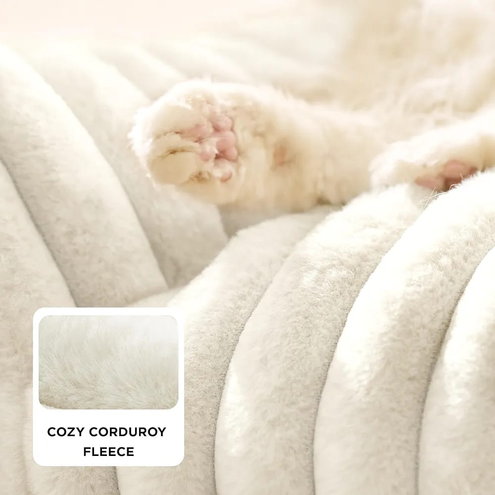 warm Cozy Bed for Cats and Puppies, Soft Plush Fabric with High Elasticity Filling, Orthopedic Pet Couch ( CREam)