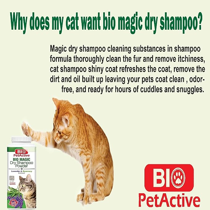 Bio Magic Shampoing Sec en Poudre à la Lavande et au Romarin pour Chat 150g 