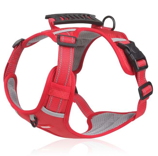 Dog harness red