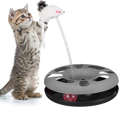 Cat Training And Interactive Toy 7.5 x 23.5 CM