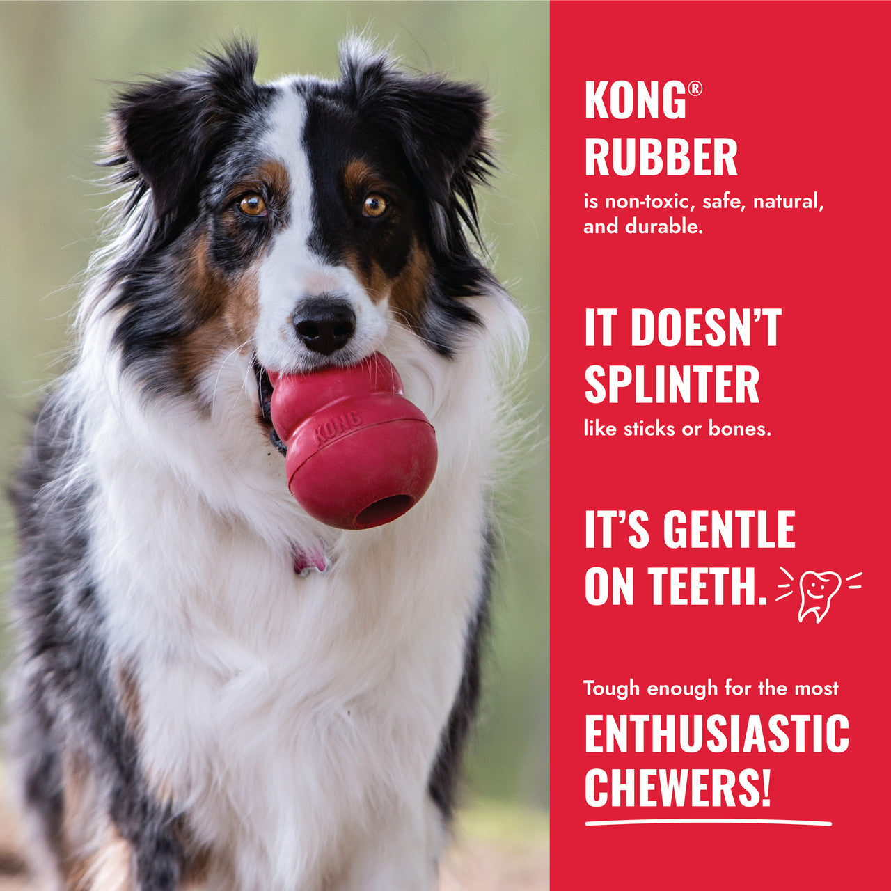 KONG Flyer small