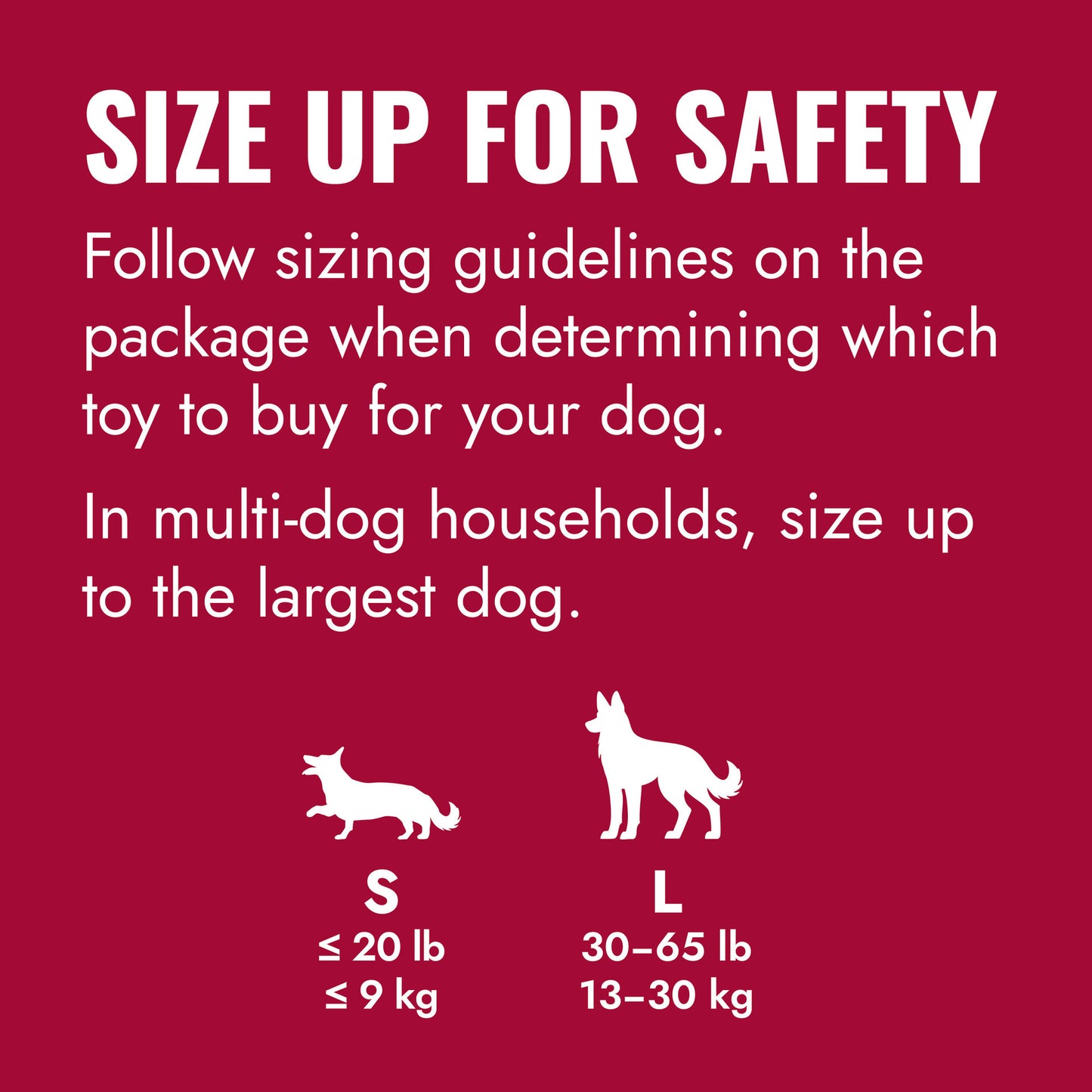 KONG Flyer small