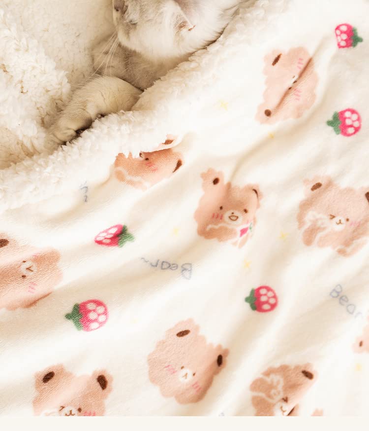 High quality pet winter blanket strawbery bear print
