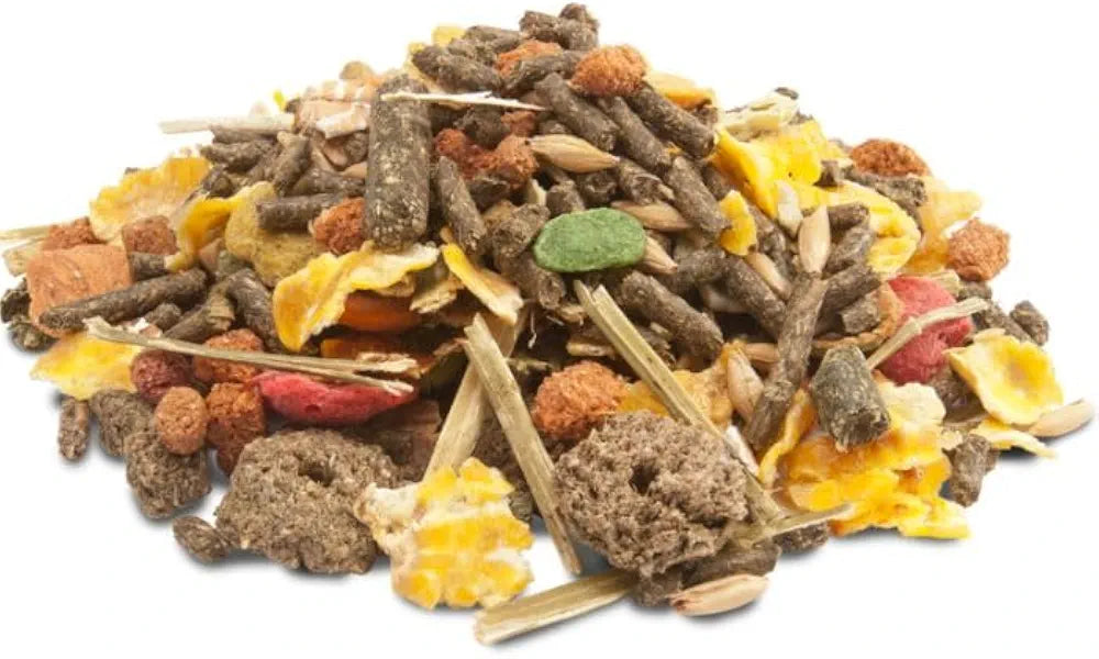 Versele-Laga Crispy Muesli Guinea Pig | 1kg | Supplementary Food for Guinea Pigs | With Vitamin C