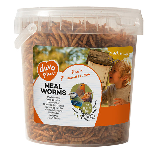 Meal worms for wild birds