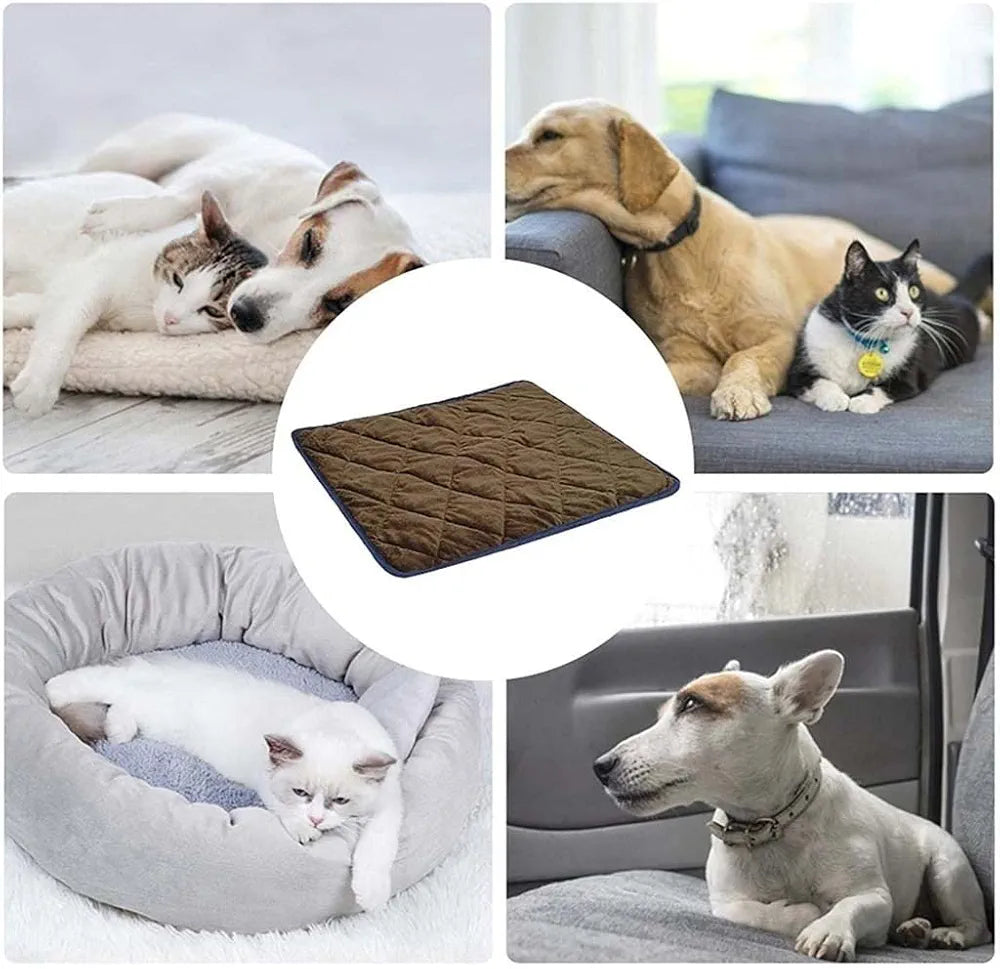 Coussin thermique pour animaux de compagnie (sans électricité)