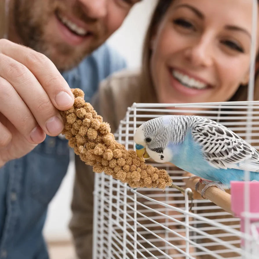 Ears of Panic for Parrots – 250 g – Feed for Canaries