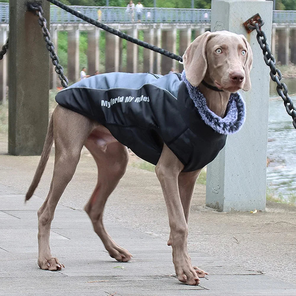 Dog Winter Jackets Reflective Waterproof Cold Weather Coats Wind Protection Warm jacket