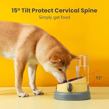 New 2026 Slow Feeder Dog Bowls,3 in 1 Cat Dog Tilted Food and Water Bowl