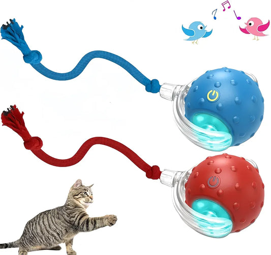 nteractive Cat Toys Ball for Indoor Cats Fast Rolling on Carpet, Chirping & Motion Activate Cat Toys
