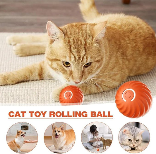 Interactive Cat  & dogToy Ball, Intelligent Interactive Cat Ball with LED Light, Self-Rotating 360 Degree Ball with USB Cable( REd)