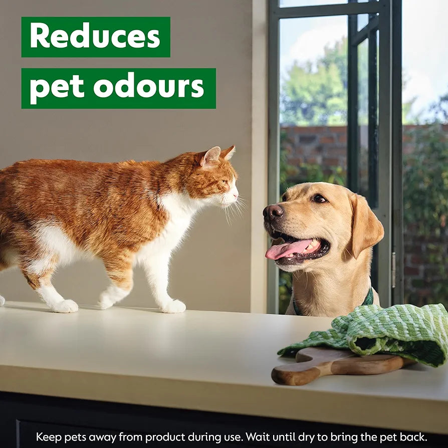 Dettol Laundry Sanitiser, Homes with pets, Fresh Breeze 750ml