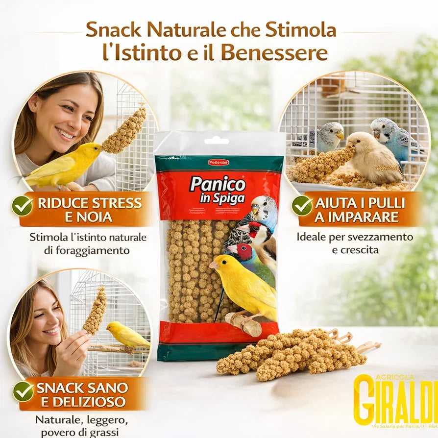 Ears of Panic for Parrots – 250 g – Feed for Canaries