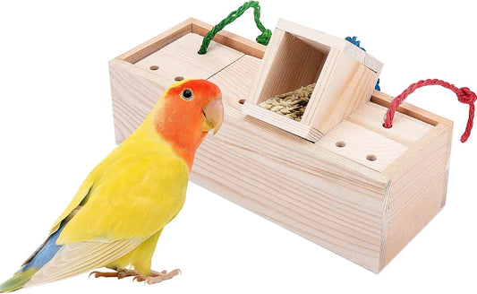 Training Parrot Feeder Toys,Cockatiel Toys,Intelligence Toys for Medium and Large Birds,Parrots Sun Conures, Caique, Cockatoo, African Grey, Macaws