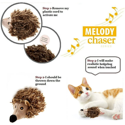 Gigwi melody chaser toy