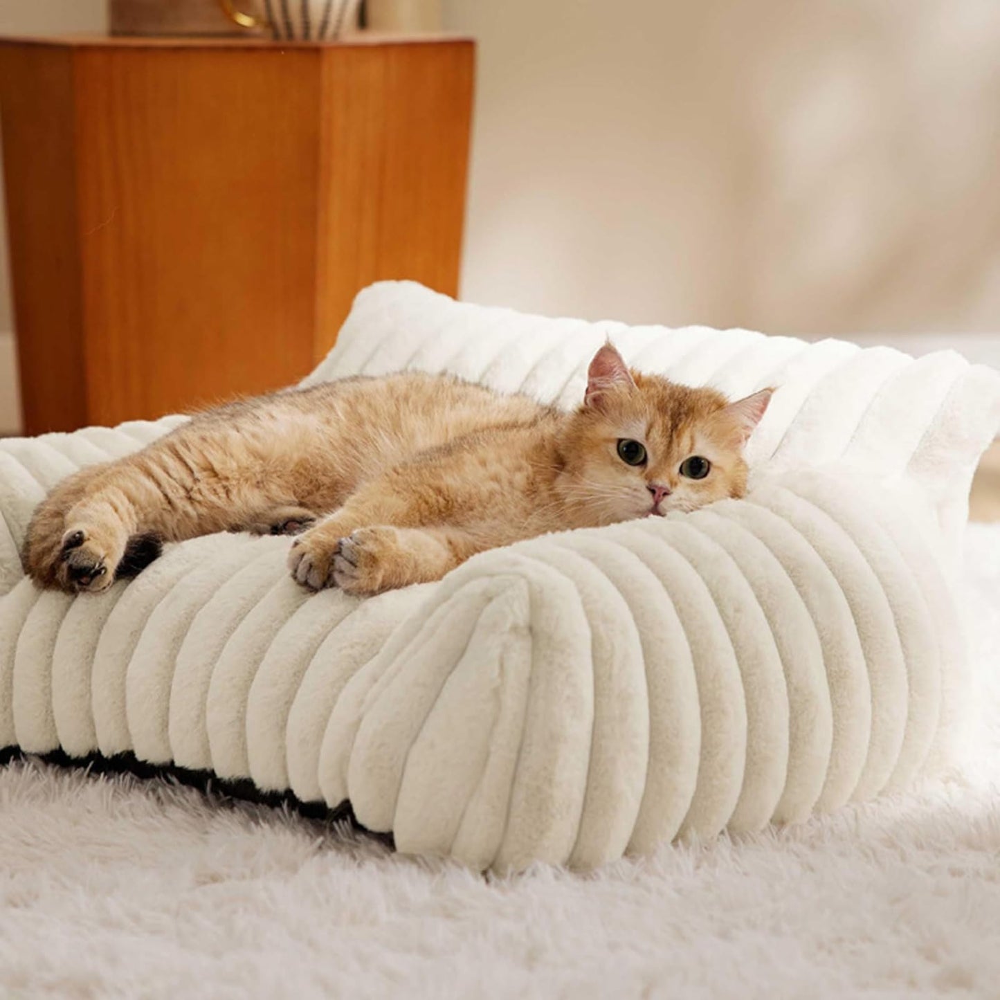 warm Cozy Bed for Cats and Puppies, Soft Plush Fabric with High Elasticity Filling, Orthopedic Pet Couch ( CREam)