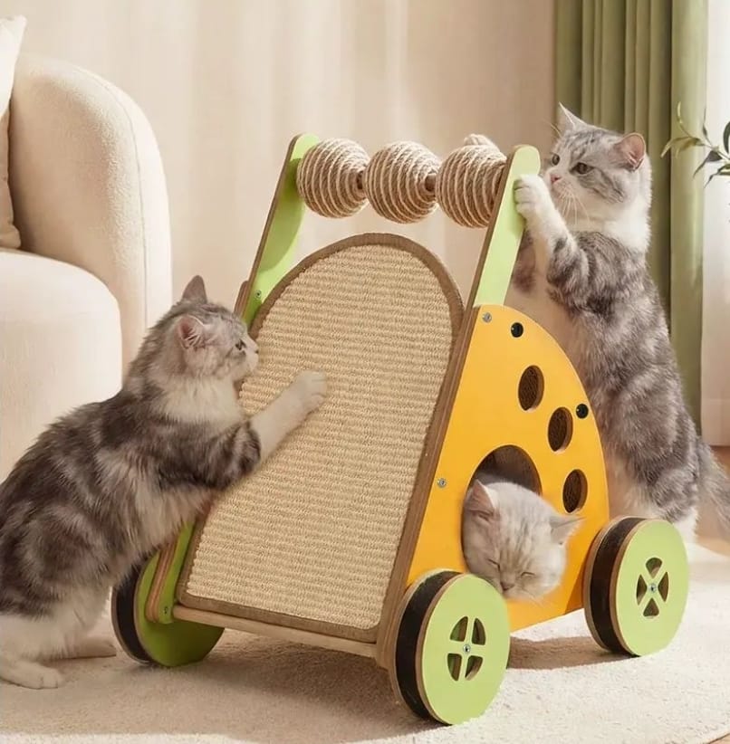 Cat Scratching & Play Station 🐱🧀