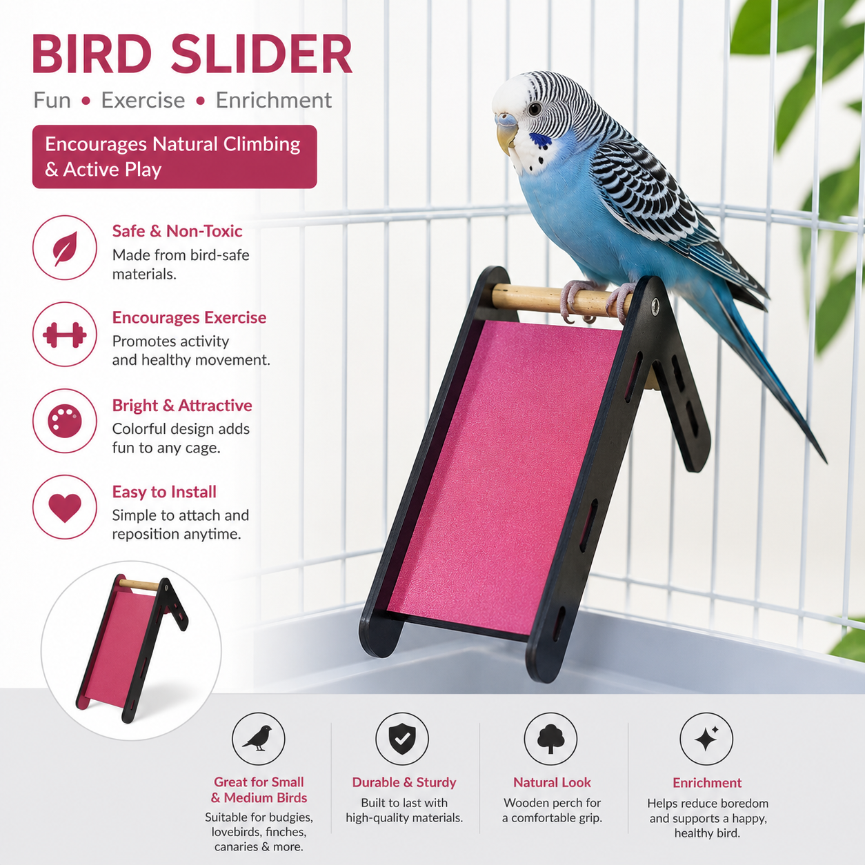 Bird Slide & Climbing Ramp Toy