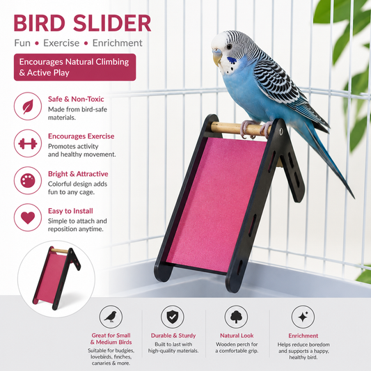 Bird Slide & Climbing Ramp Toy