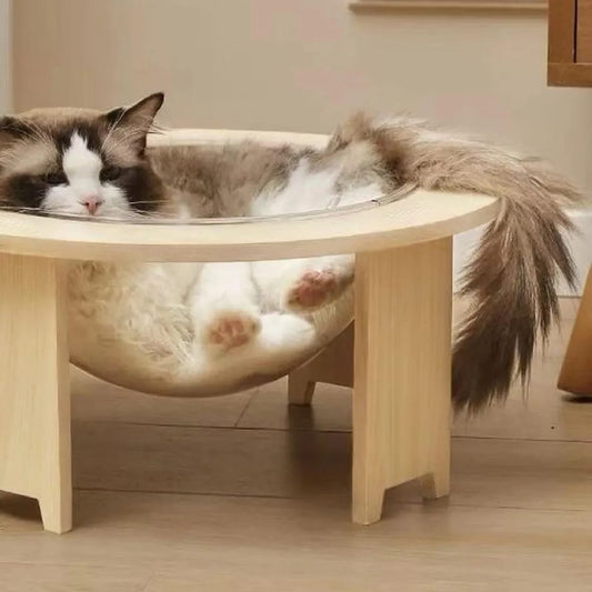 Modern Capsule cat house