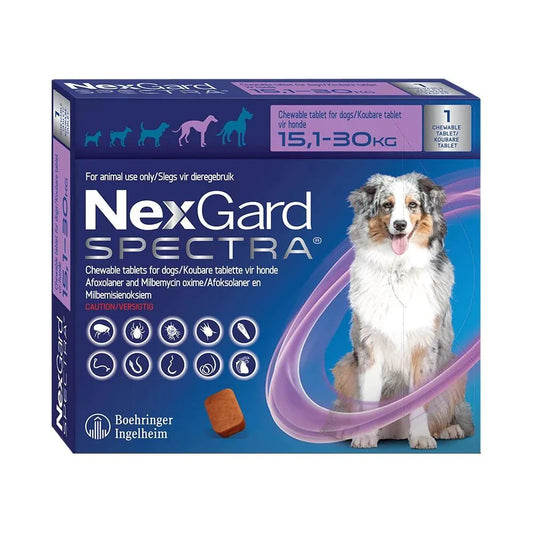 NEXGARD SPECTRA LARGE DOG 15-30KG CHEWABLE ( 1 pill)