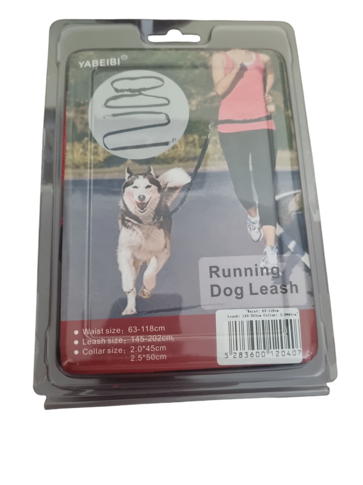 Running dog leash ( red)