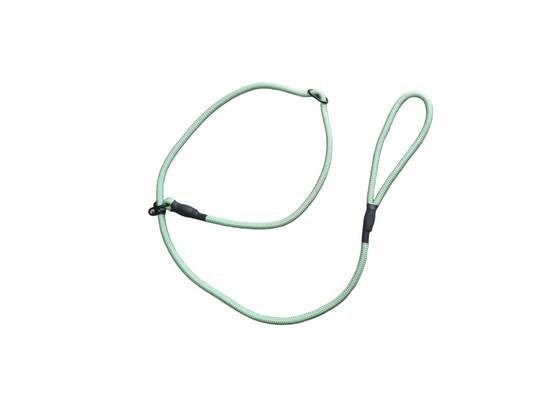 2 in 1 leash& collar Mint green