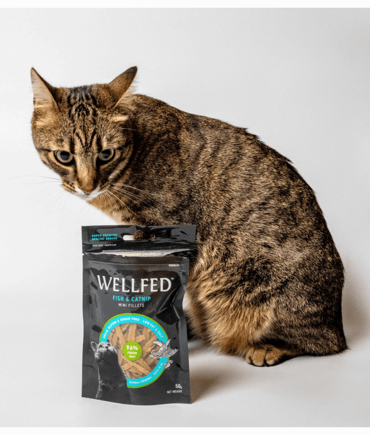 Wellfed – Monoprotein Fish & Catnip Mini Fillets – Grain & Sugar Free - 50g