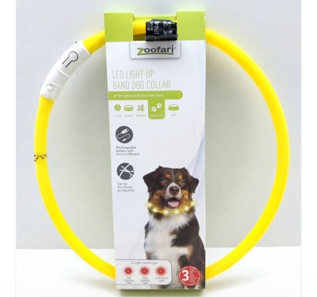 dog led collar