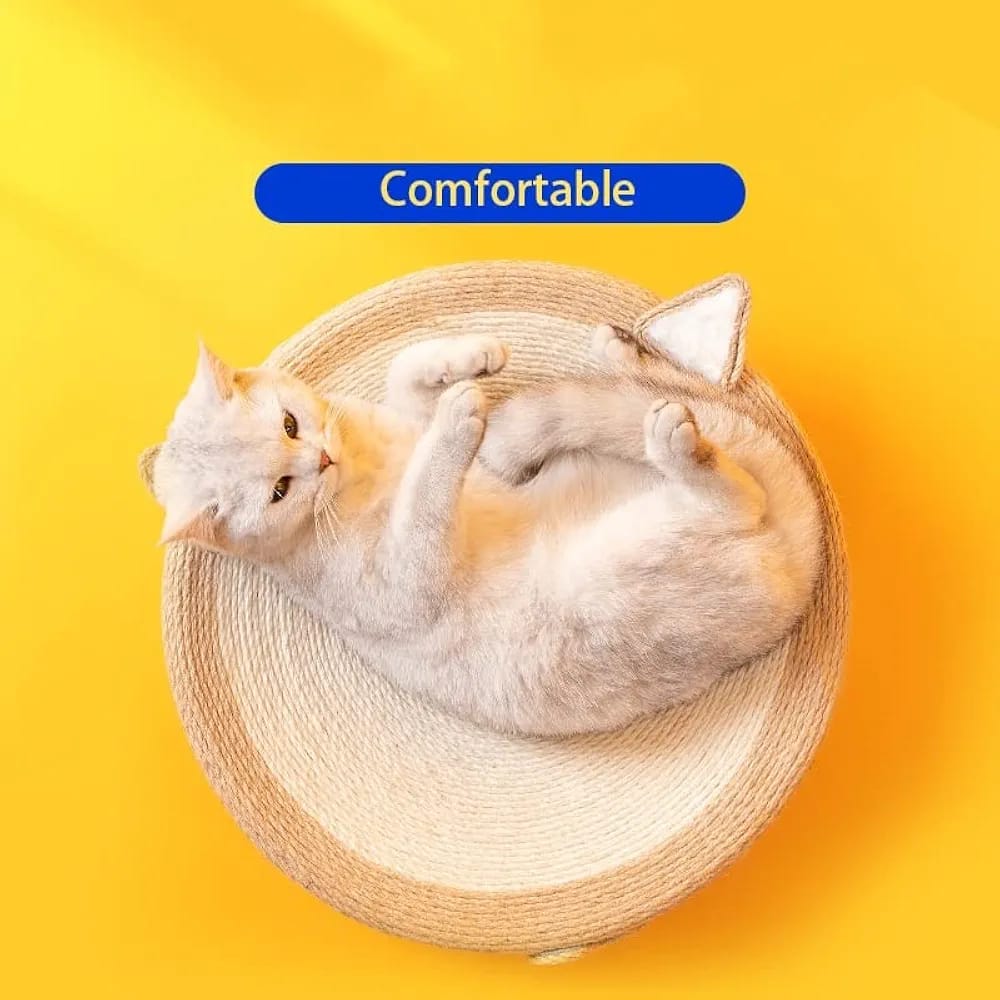 Cat Scratcher new design