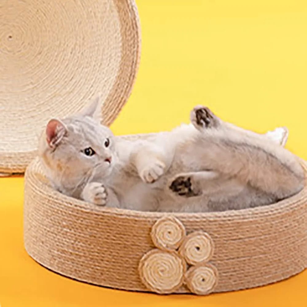 Cat Scratcher new design