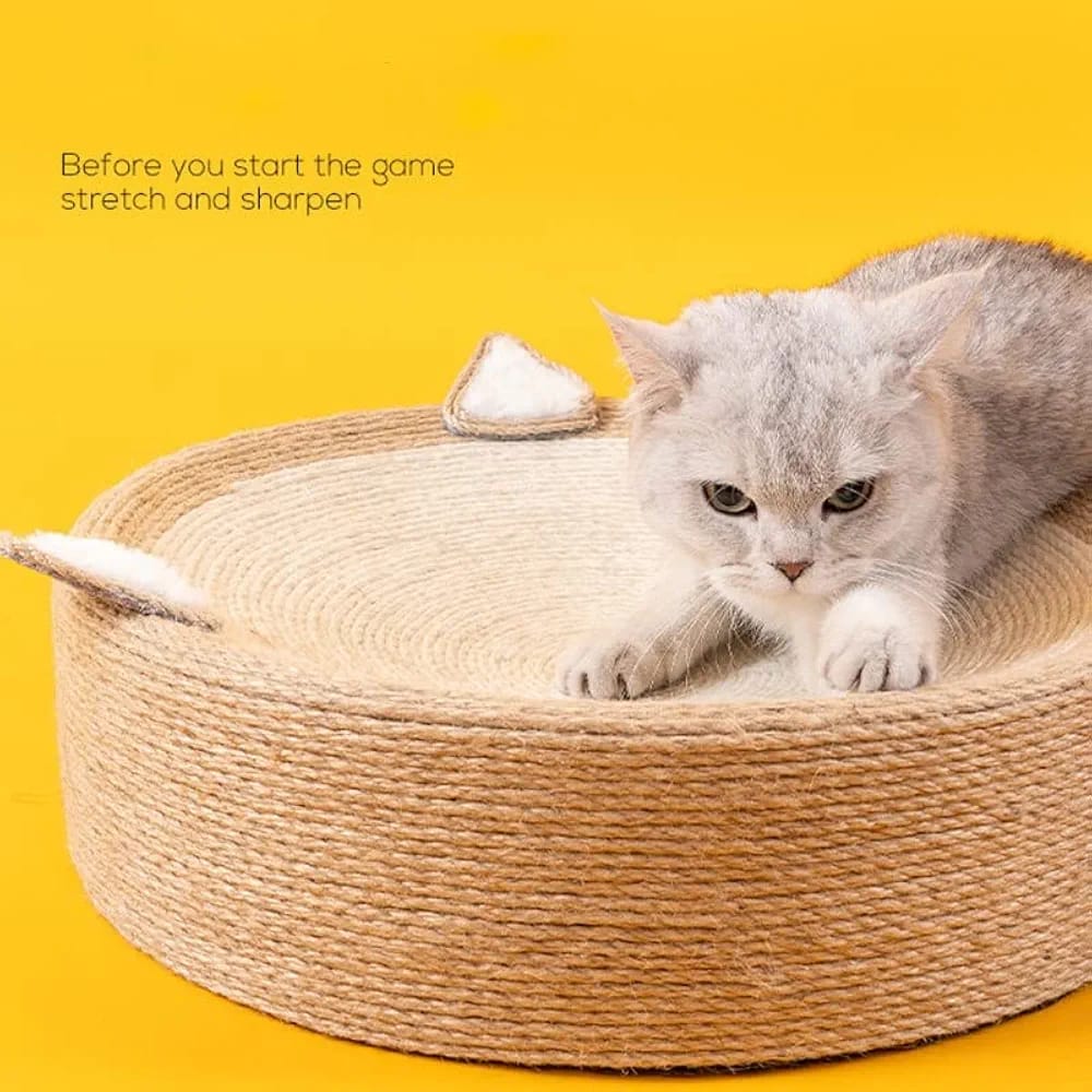 Cat Scratcher new design