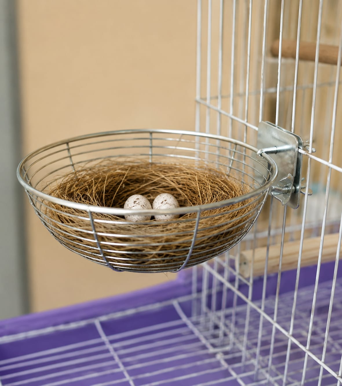 🪺 Metal Bird Nest Holder
