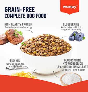 WANPY Grain Free Complete Food For Adult Dog Beef Recipe 12kg